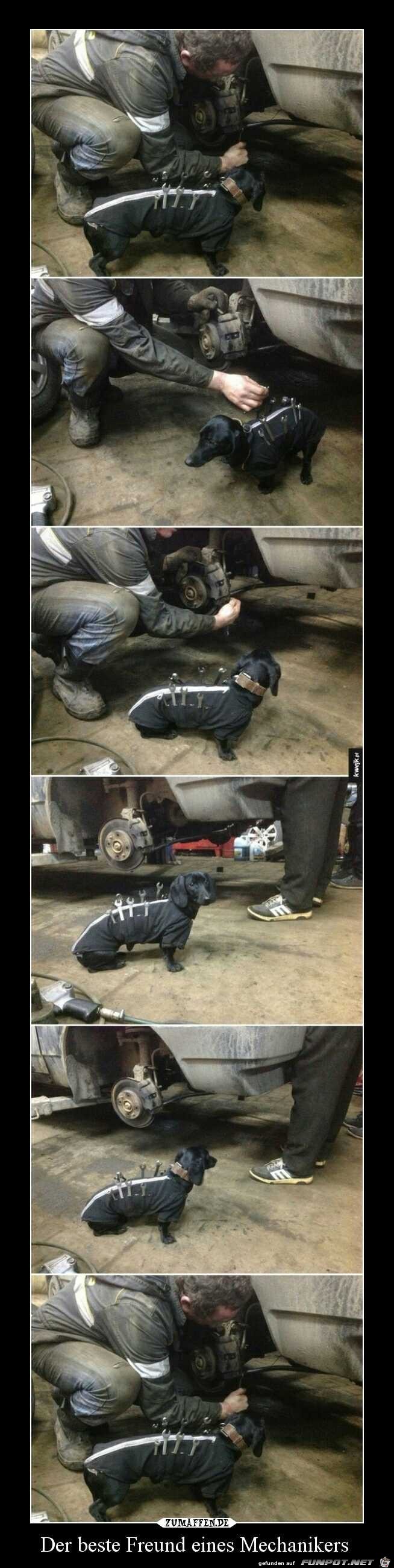 Der beste Freund des Mechanikers