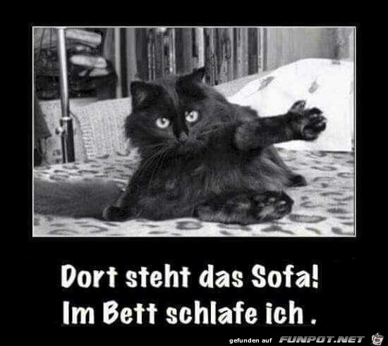 Dort steht das Sofa! Dort steht das Sofa!