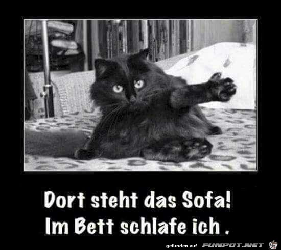 Dort steht das Sofa!