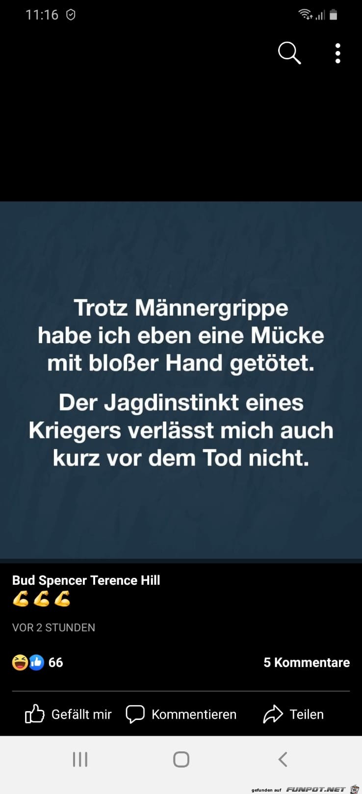 Maennergrippe Maennergrippe