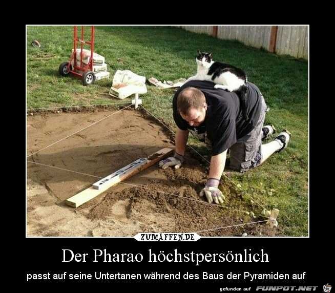 Der Chef passt auf Der Chef passt auf