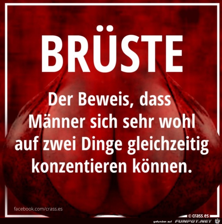BRÜSTE BRÜSTE