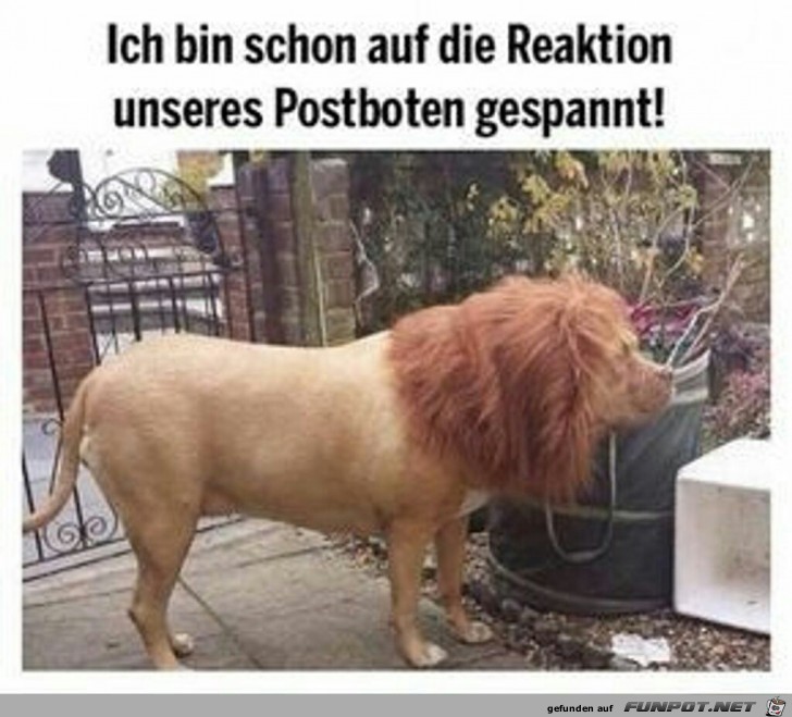 Ich bin schon auf die Reaktion unseres Postboten gespannt Ich bin schon auf die Reaktion unseres Postboten gespannt