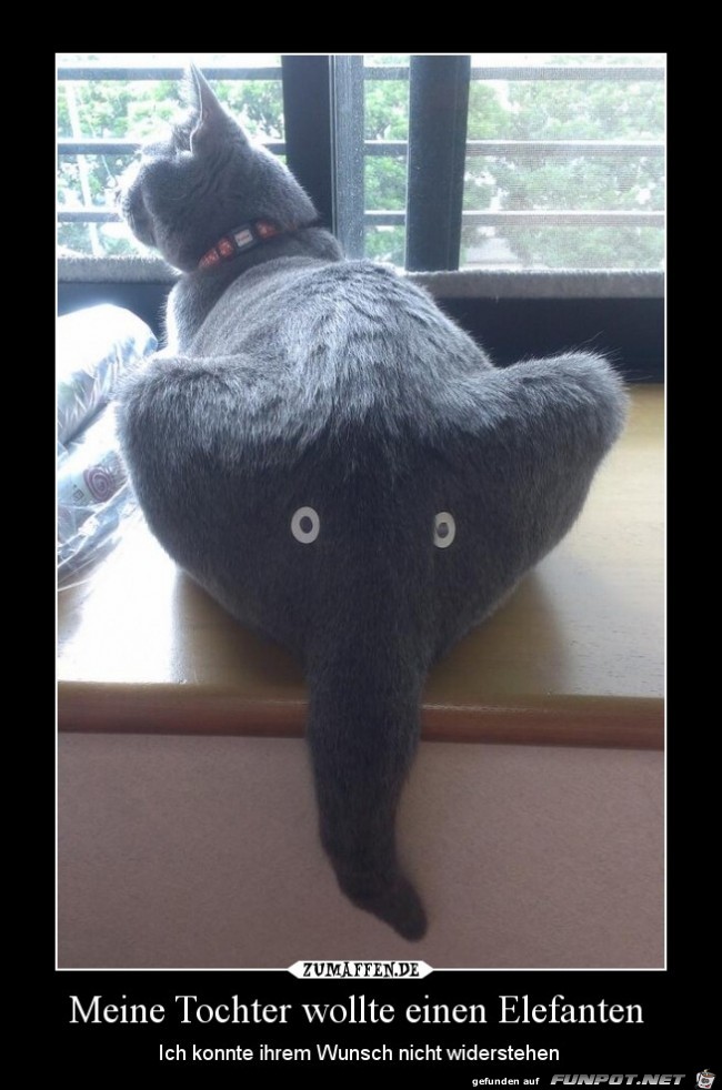 Meine Tochter wollte einen Elefanten Meine Tochter wollte einen Elefanten