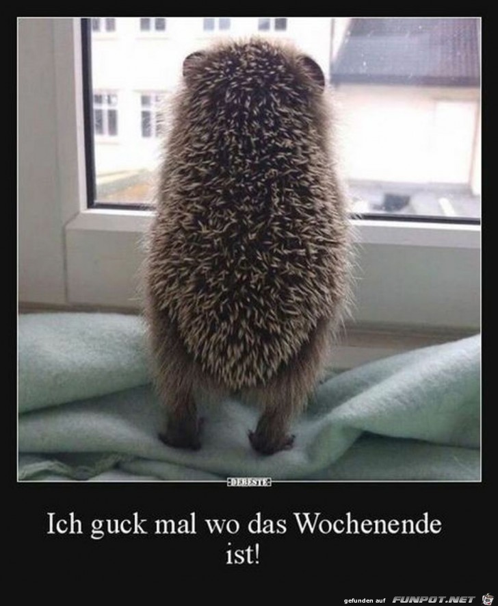 Ich guck mal wo das Wochenende ist