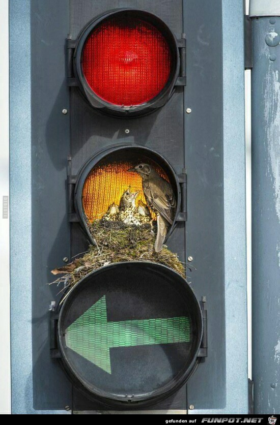 Die Nist-Ampel Die Nist-Ampel