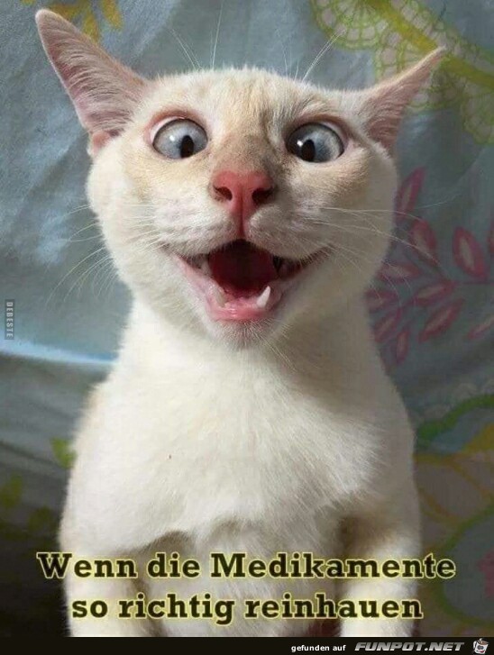 Wenn die Medikamente so richtig reinhauen Wenn die Medikamente so richtig reinhauen