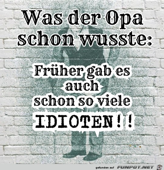 Idioten Idioten