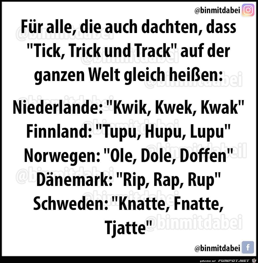 Nicht alle Wörter sind gleich Nicht alle Wörter sind gleich