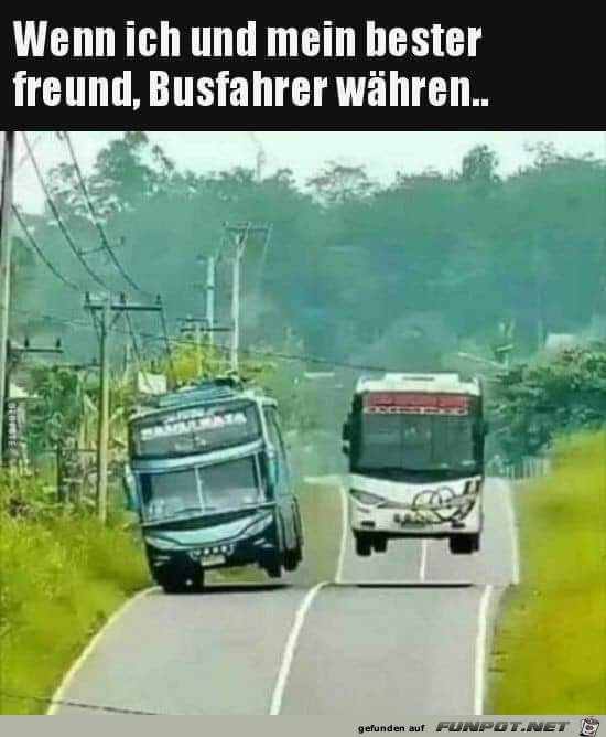 Busfahrer