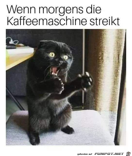 Ohne Kaffee läufts nicht Ohne Kaffee läufts nicht