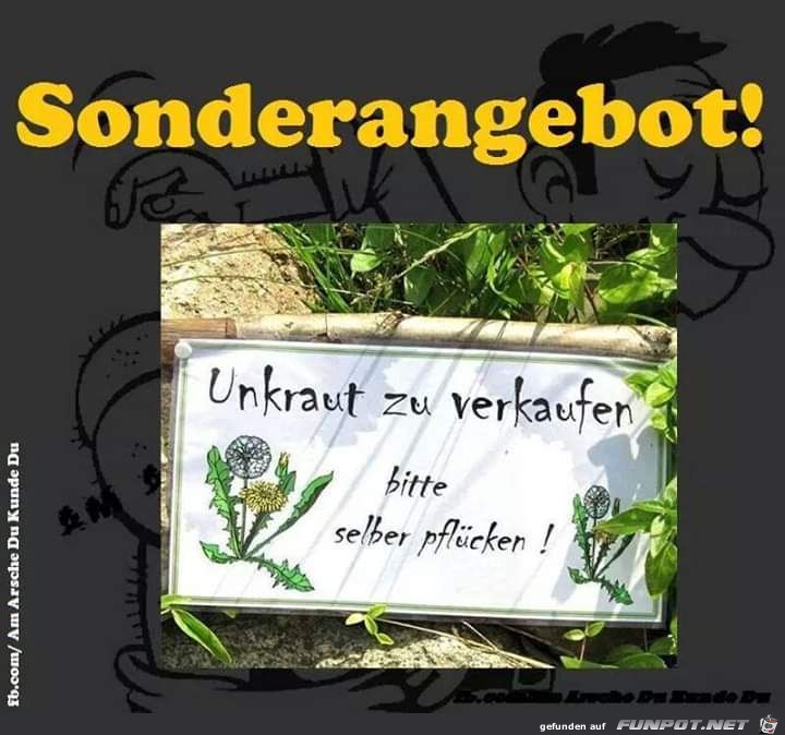 Sonderangebot