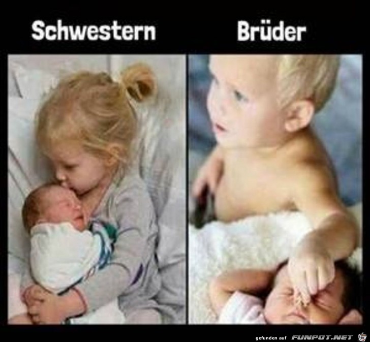 Schwestern und Brüder Schwestern und Brüder