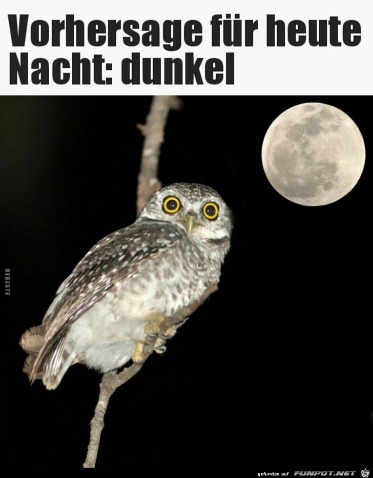 Vorhersage fr heute Nacht