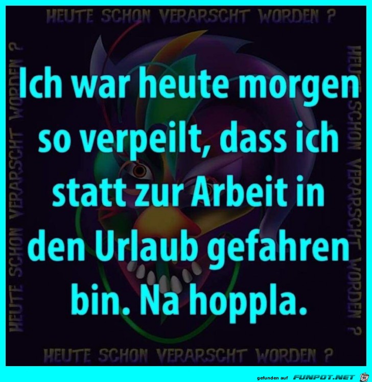 Heute morgen verpeilt Heute morgen verpeilt