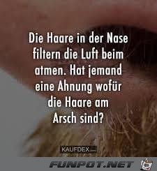 Haare Haare