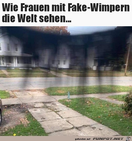 Die Aussicht mit Fake-Wimpern