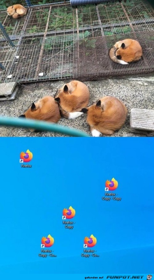 So sieht Firefox aus
