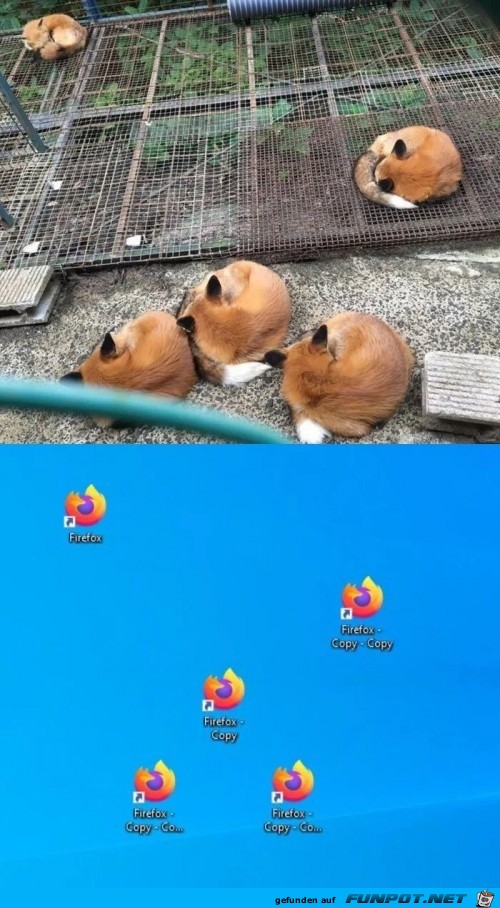 So sieht Firefox aus So sieht Firefox aus