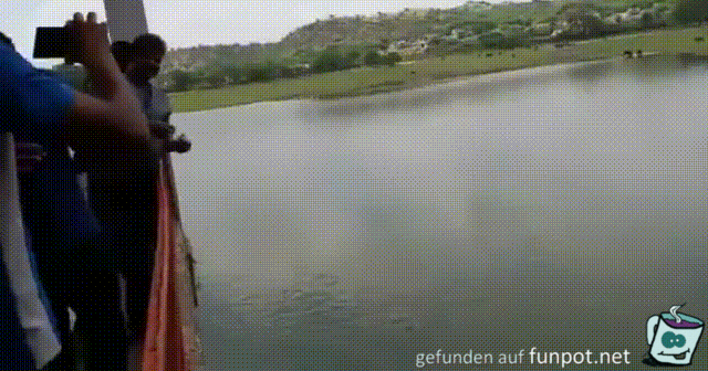 Ziemlich viele Fische Ziemlich viele Fische