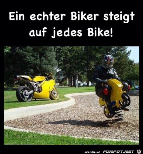 Ein echter Biker Ein echter Biker