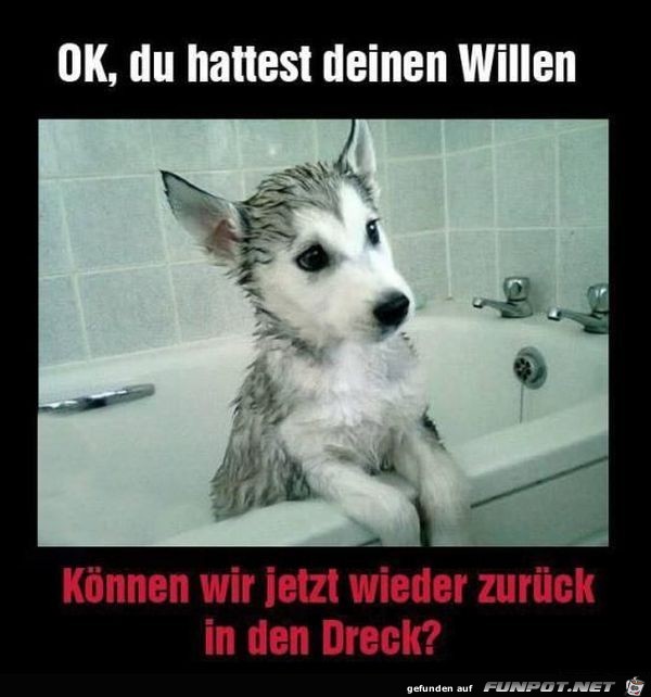Ok du hst deinen Willen Ok du hst deinen Willen
