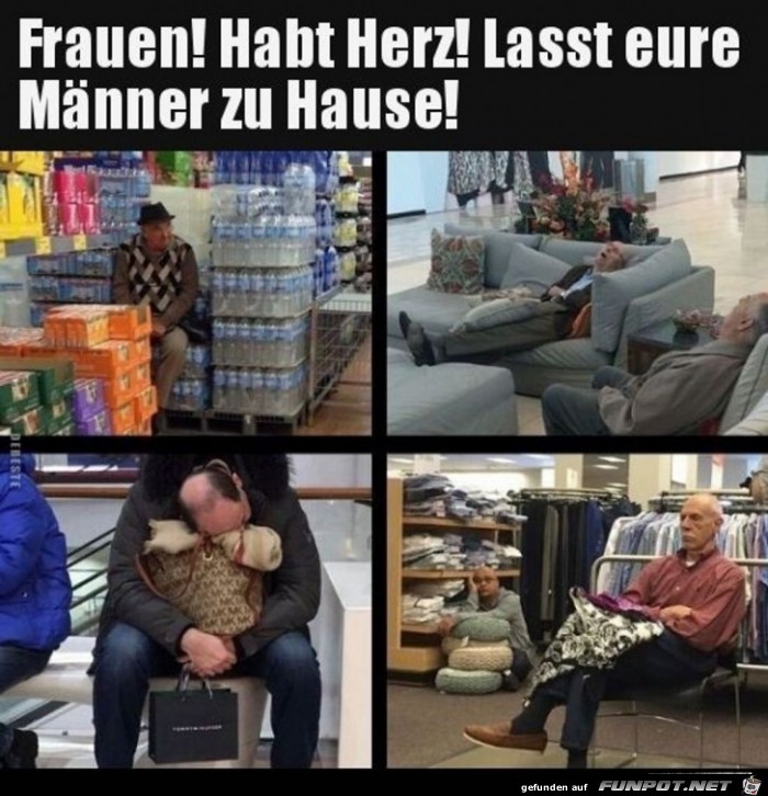 witzige Bilder aus verschiedenen Blogs