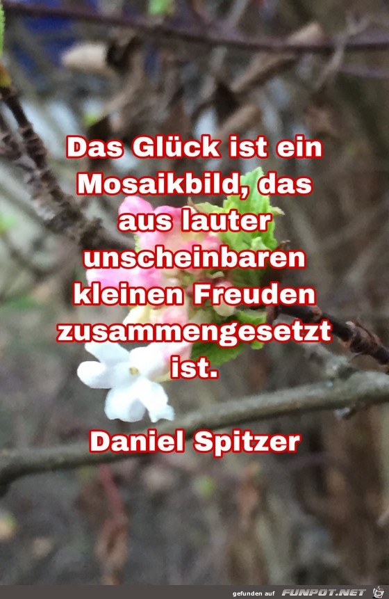 das Glueck ist ein mosaikbild