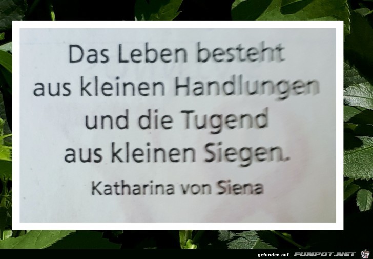 das leben besteht