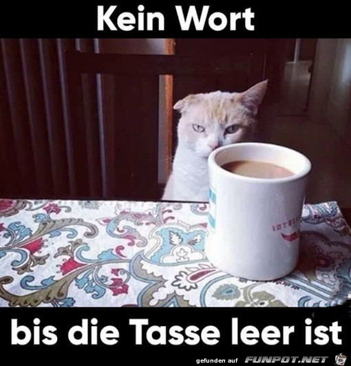 Kein Wort bis der Kaffee leer ist Kein Wort bis der Kaffee leer ist
