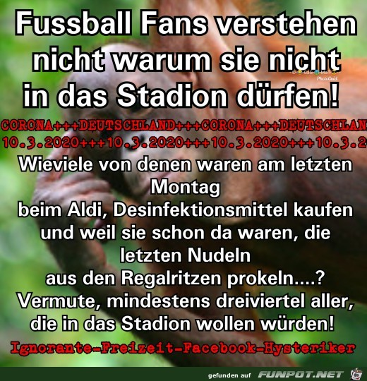 Der Hysterische Fan Der Hysterische Fan