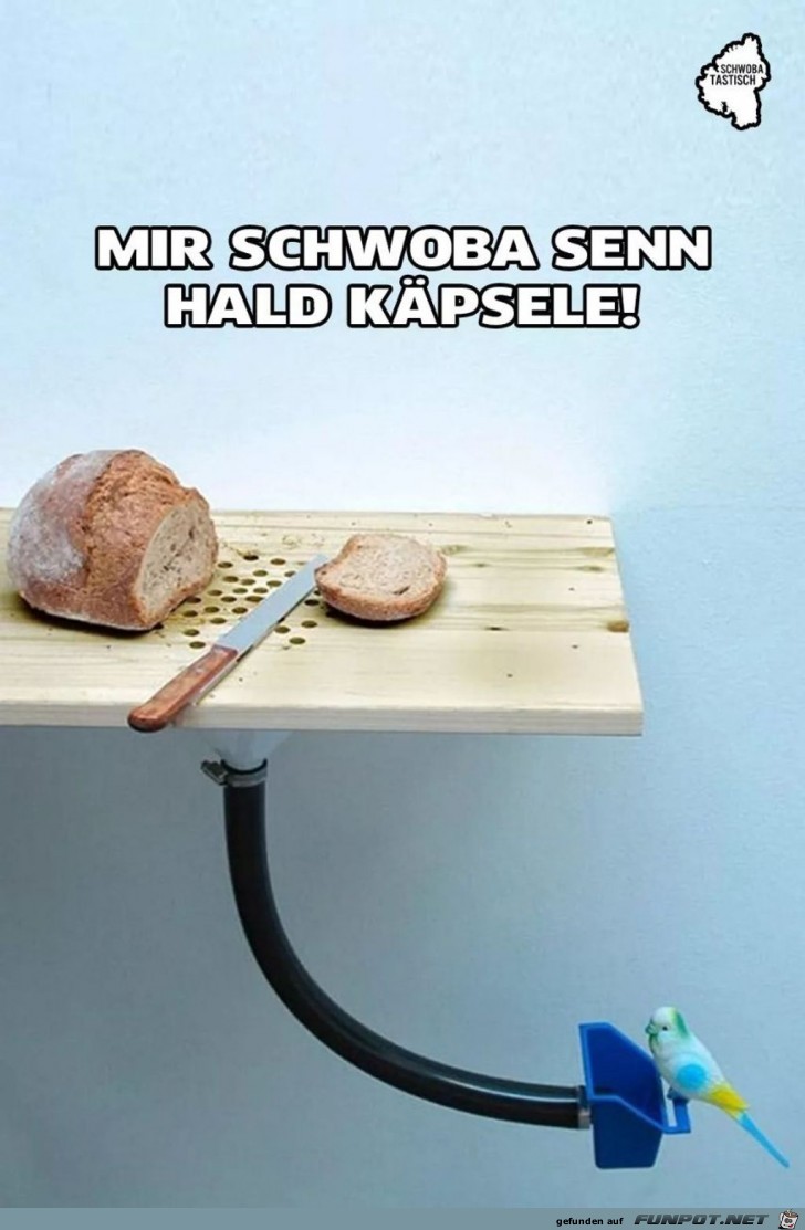 Mir Schwoba senn hald Kpsele