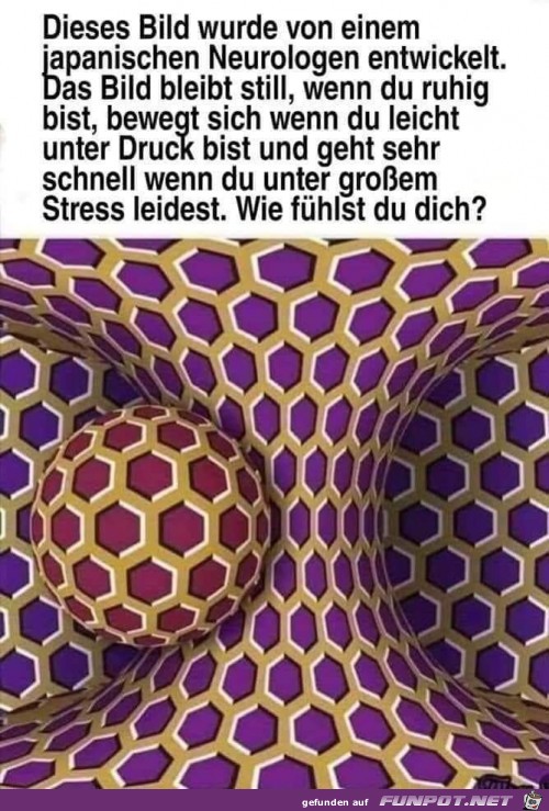 Wie fhlst du dich ?