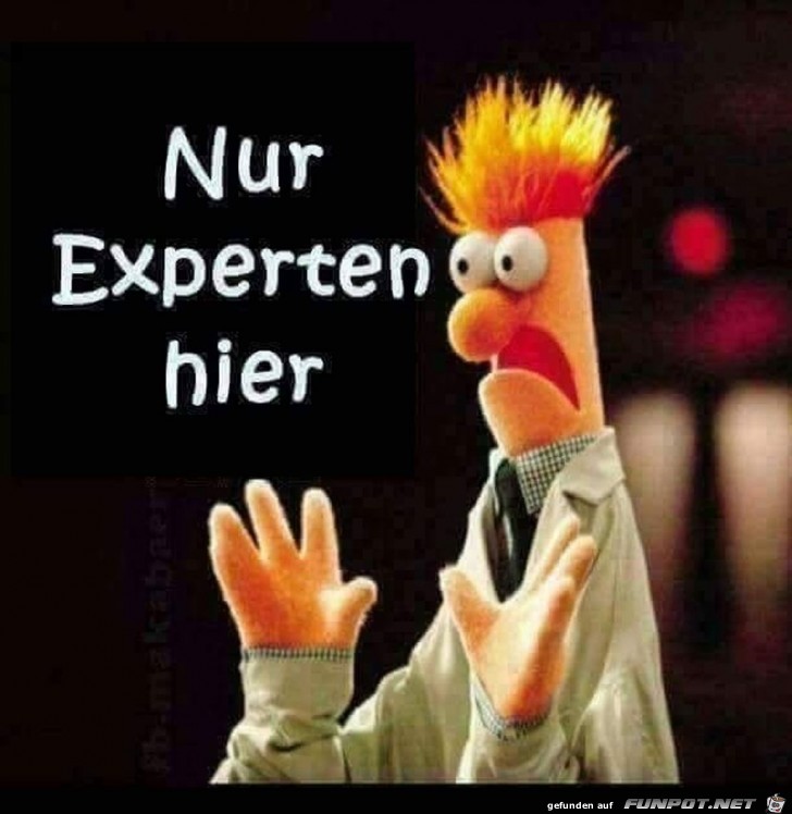 Nur Experten hier