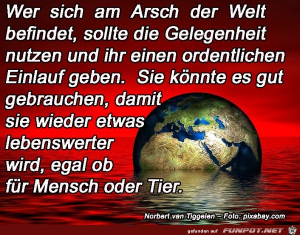 Am Arsch der Welt 2020