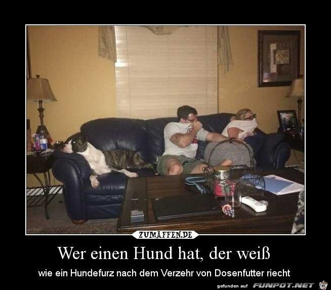wer einen Hund hat..... wer einen Hund hat.....