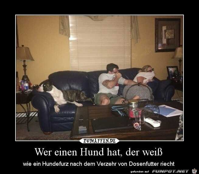 wer einen Hund hat.....