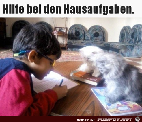 Tierische Hausaufgaben-Untersttzung