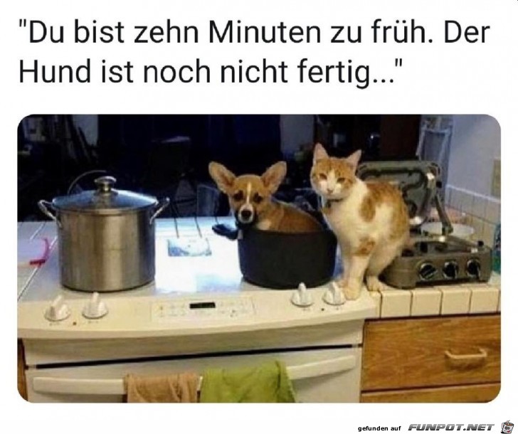 Du bist zu frh zum Essen