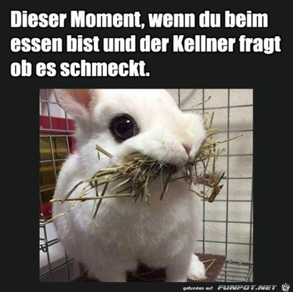 Dieser Moment