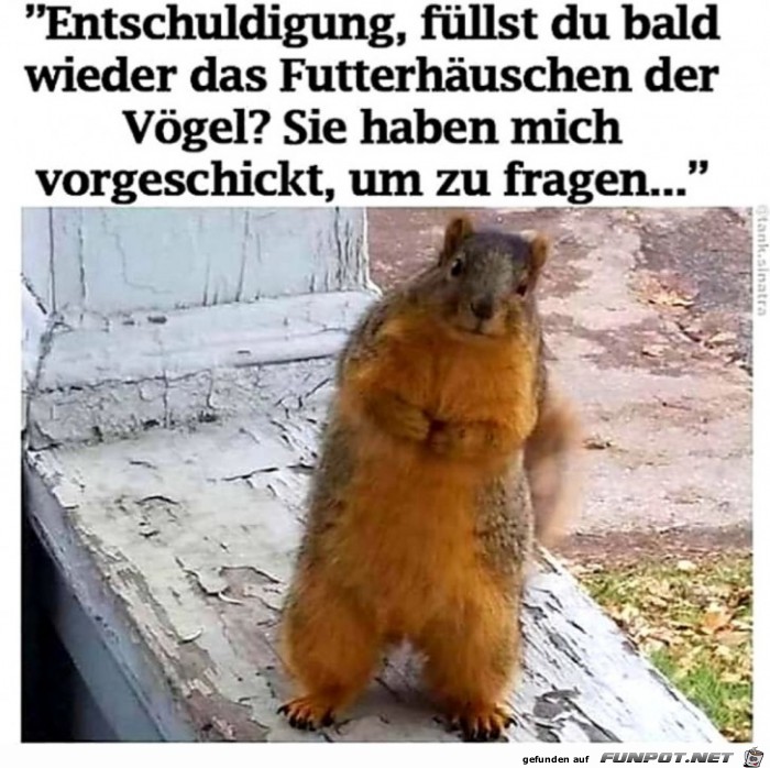 Entschuldigung