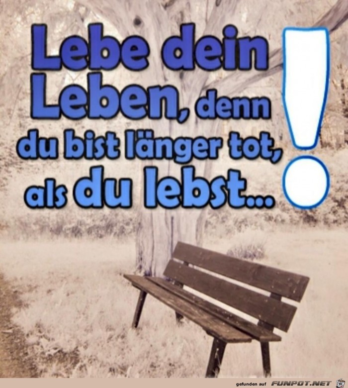 Lebe dein Leben Lebe dein Leben