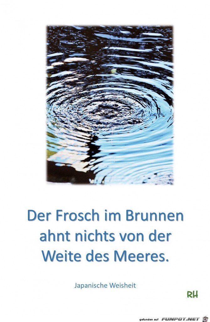 Der Frosch im Brunnen