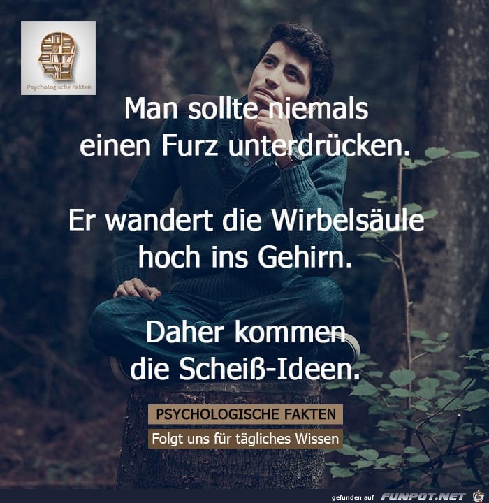 man sollte niemals man sollte niemals