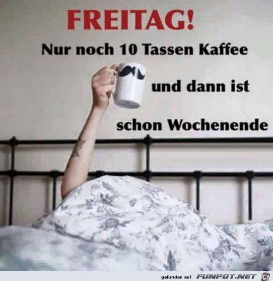 Freitag Freitag