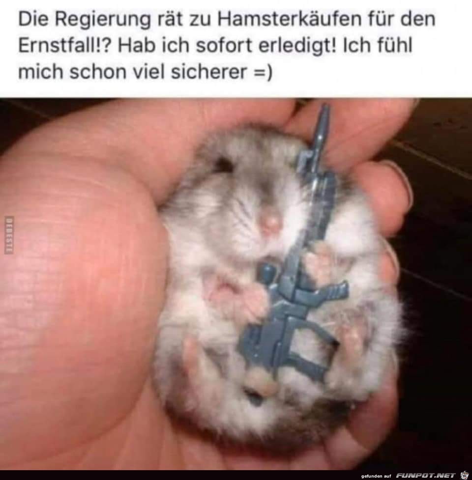 Hamsterkaeufe