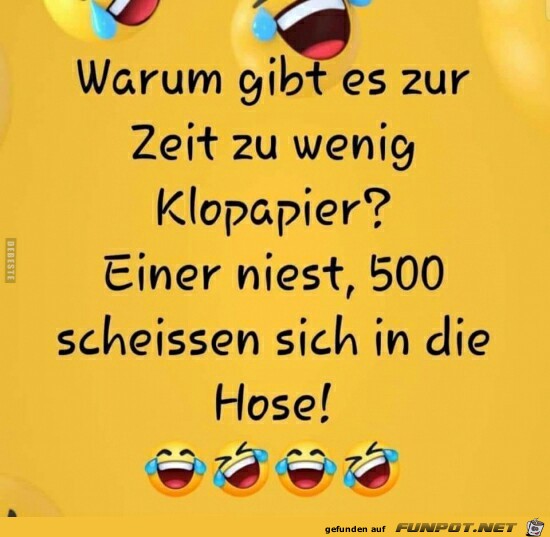 warum gibt es zur Zeit zu wenig Klopapier ? warum gibt es zur Zeit zu wenig Klopapier ?