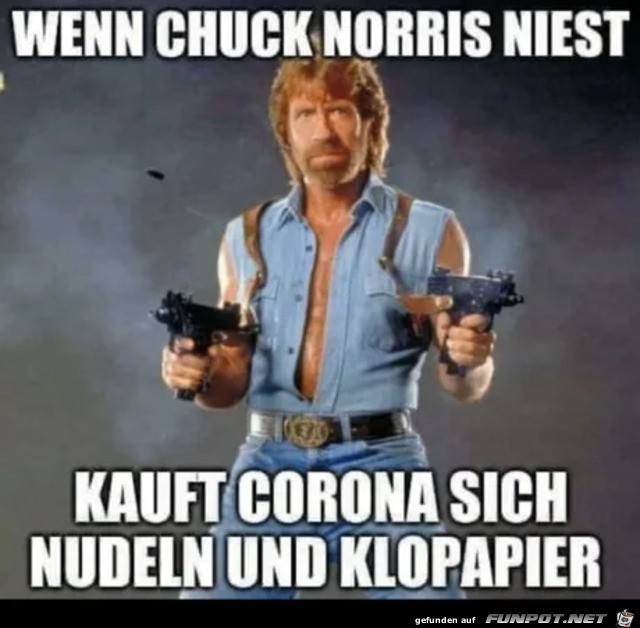 Wenn Chuck Norris niest