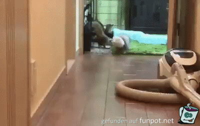 Da bin ich Da bin ich