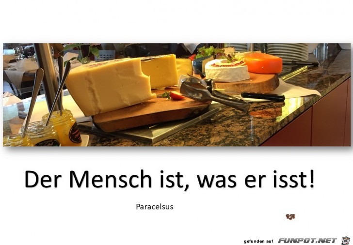 der mensch ist